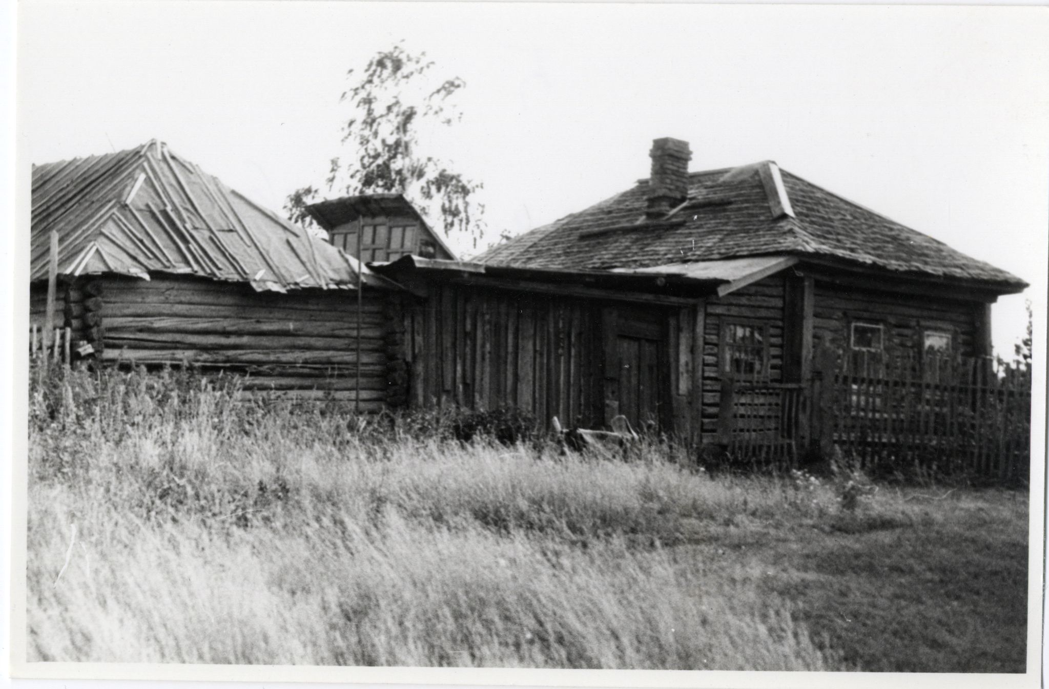 Латышская деревня Реженка Томского района. 1975 г. Фото Бардиной П.Е.