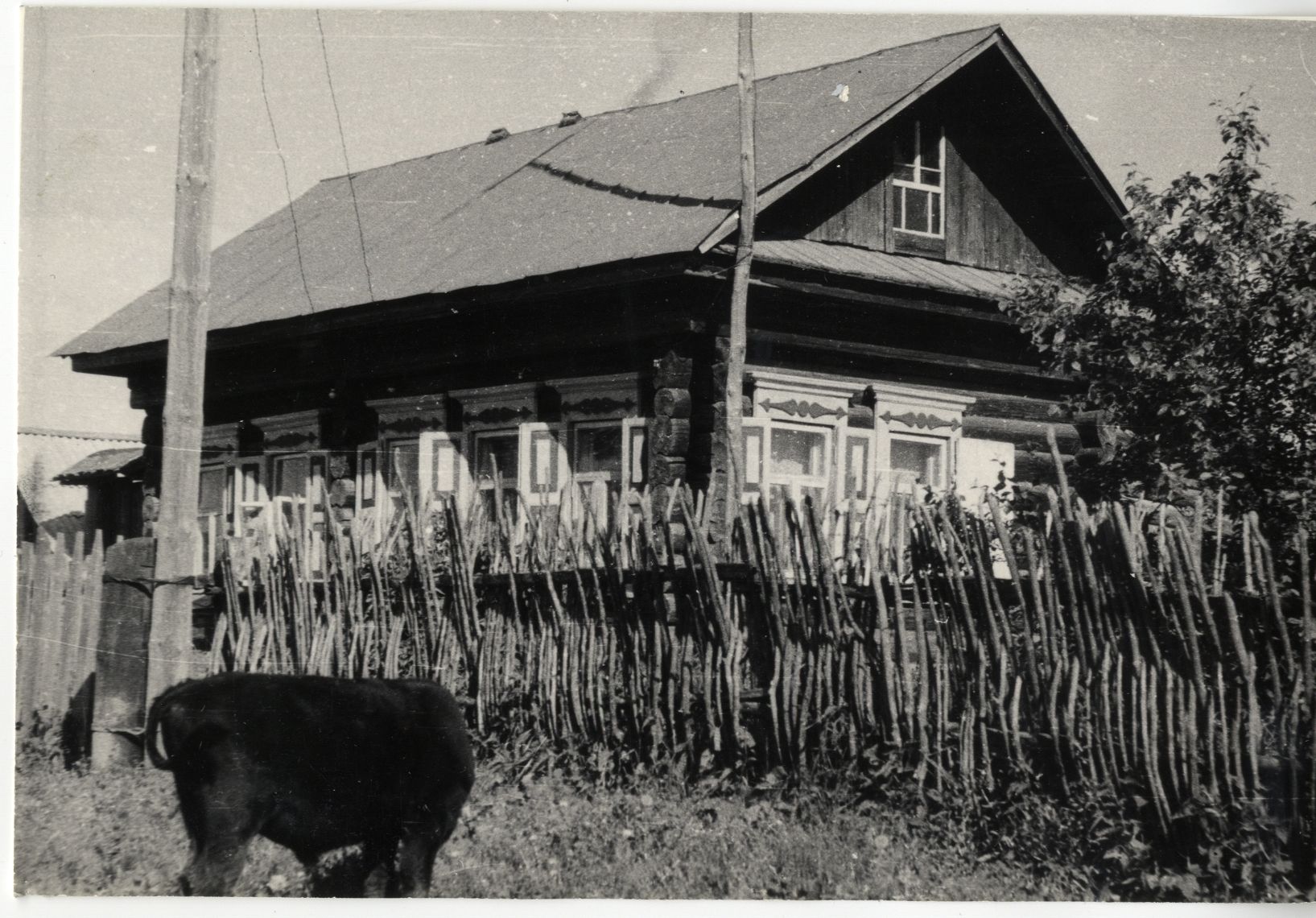 6.	Дом переселенцев, с плетнем. Д. Кудрово Томского района. 1975 г. Фото Бардиной П.Е.