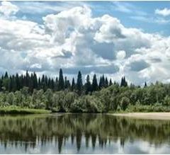 Деревня Красино Тихомировского сельского совета.