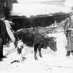 Пос. Андарма, Богатыревского сельского Совета, Бакчарского района.  Семья Носковых