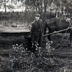 Список жителей д. Упталы Верхне-Сеченовского с/совета в 1949-1957 гг.